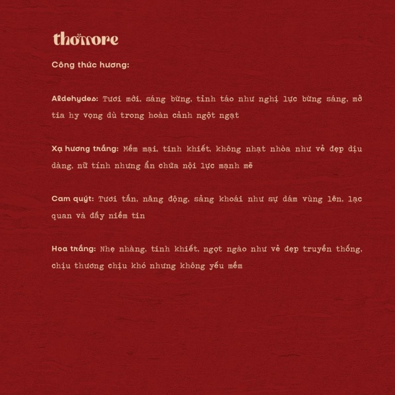 BỘ SƯU TẬP ĐẦU TIÊN: NỐT HƯƠNG VĂN CHƯƠNG VIỆT NAM - TẮT ĐÈN 4 HANH TRINH THUONG HIEU THOMORE VA BO SUU TAP DAU TIEN NOT HUONG VAN CHUONG VIET NAM CAM NHAN TAT DEN 1